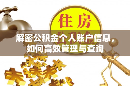 蚌埠解密公积金个人账户信息，如何高效管理与查询