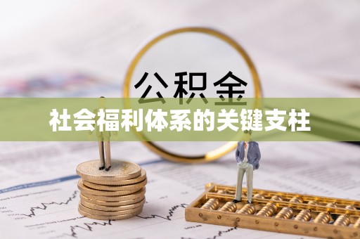 蚌埠社会福利体系的关键支柱